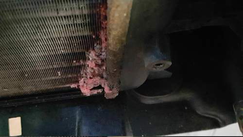 Golf 5 verliert Kühlwasser Seite 2 Mein Kühler r...