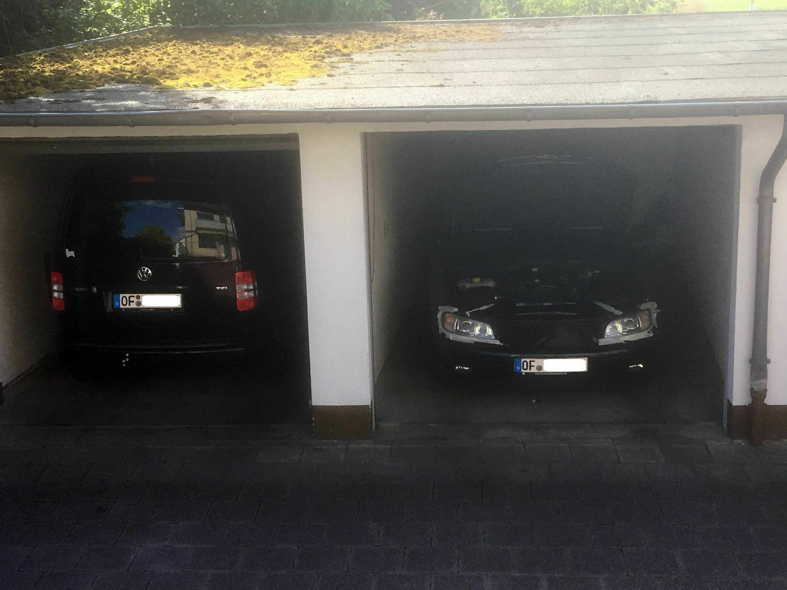 Was habt Ihr heute alles Gutes für Euren Omega & Senator getan?