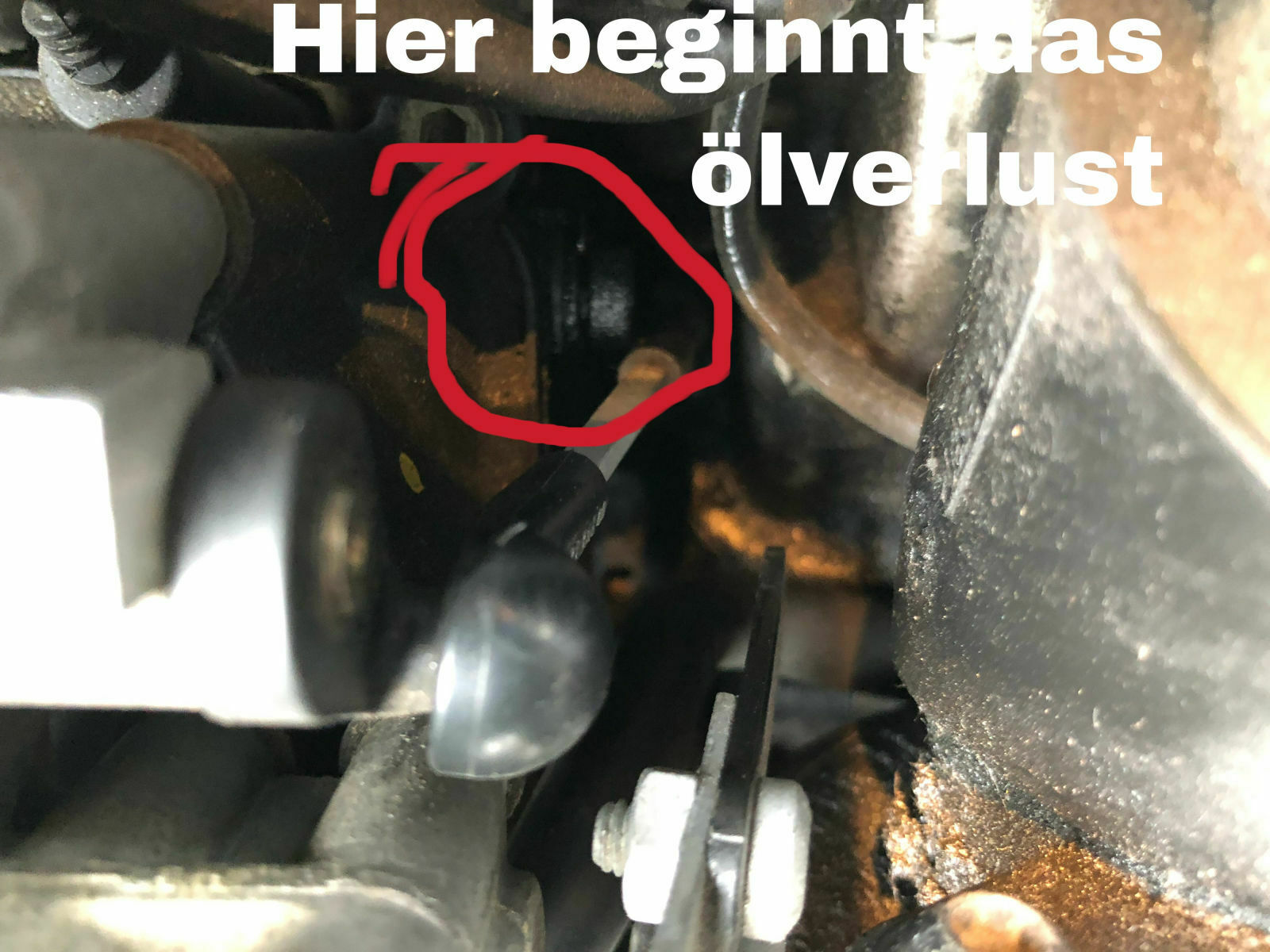 Audi A6 4F Ölverlust am Turbolader.