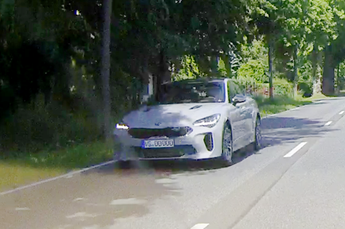 Grauer Stinger in Altheide am 02.06.2019