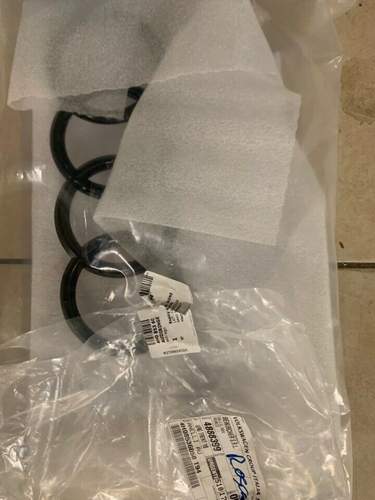 62475665-1053826361477361-1834851045788876800-n