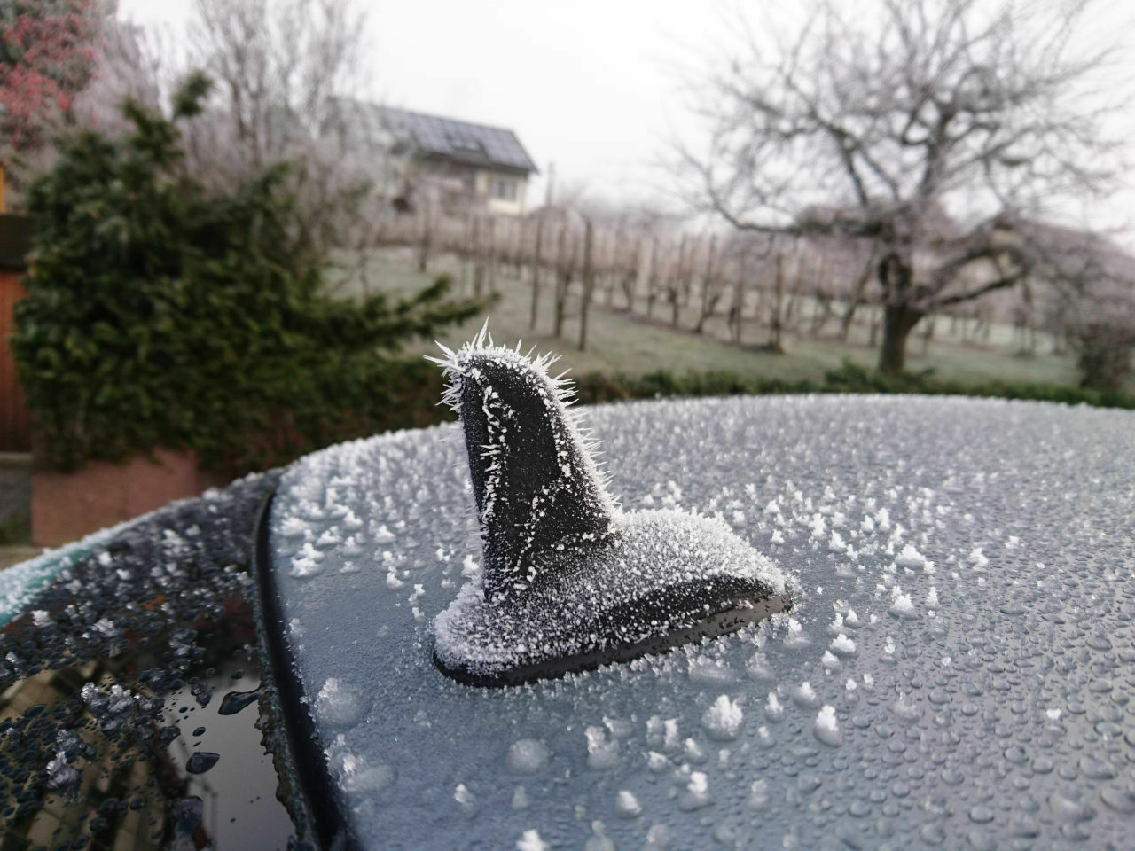 Bildersammlung 204! Habt ihr ein gutes? her damit!