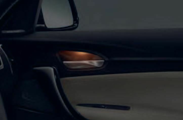 Beleuchtung Türinnengriffe