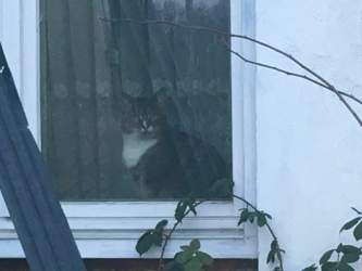 68a14463-1d42-40d9-9d44-a36b9d9c4142