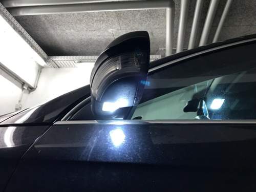 Codierung Absenkbarer Spiegel im Rückwertsgang - Sei...