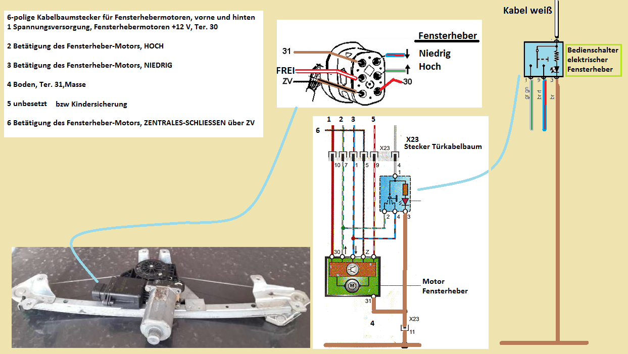 Omega B - Pinout Lichtschalter - Coming Home Module einbauen