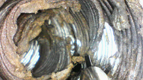 Vlcsnap-2019-01-11-10h57m40s556