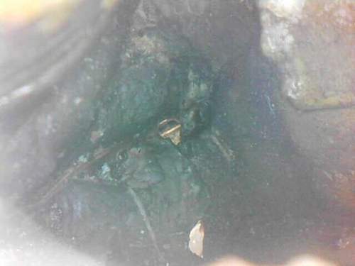 F8bfa194-b5e2-4d91-ad3c-f1edbafc68f8