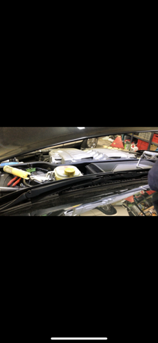 95e133ba-04ed-432b-9cc9-c16d4ae8dbd2