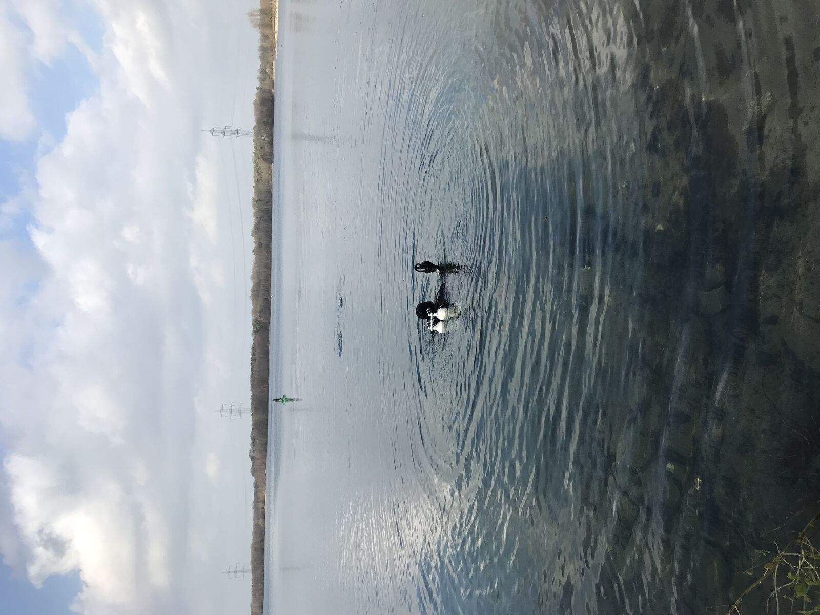 6b9de6ea-cbf0-4e3b-9f37-8add3c7e5865