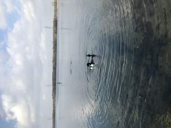 6b9de6ea-cbf0-4e3b-9f37-8add3c7e5865