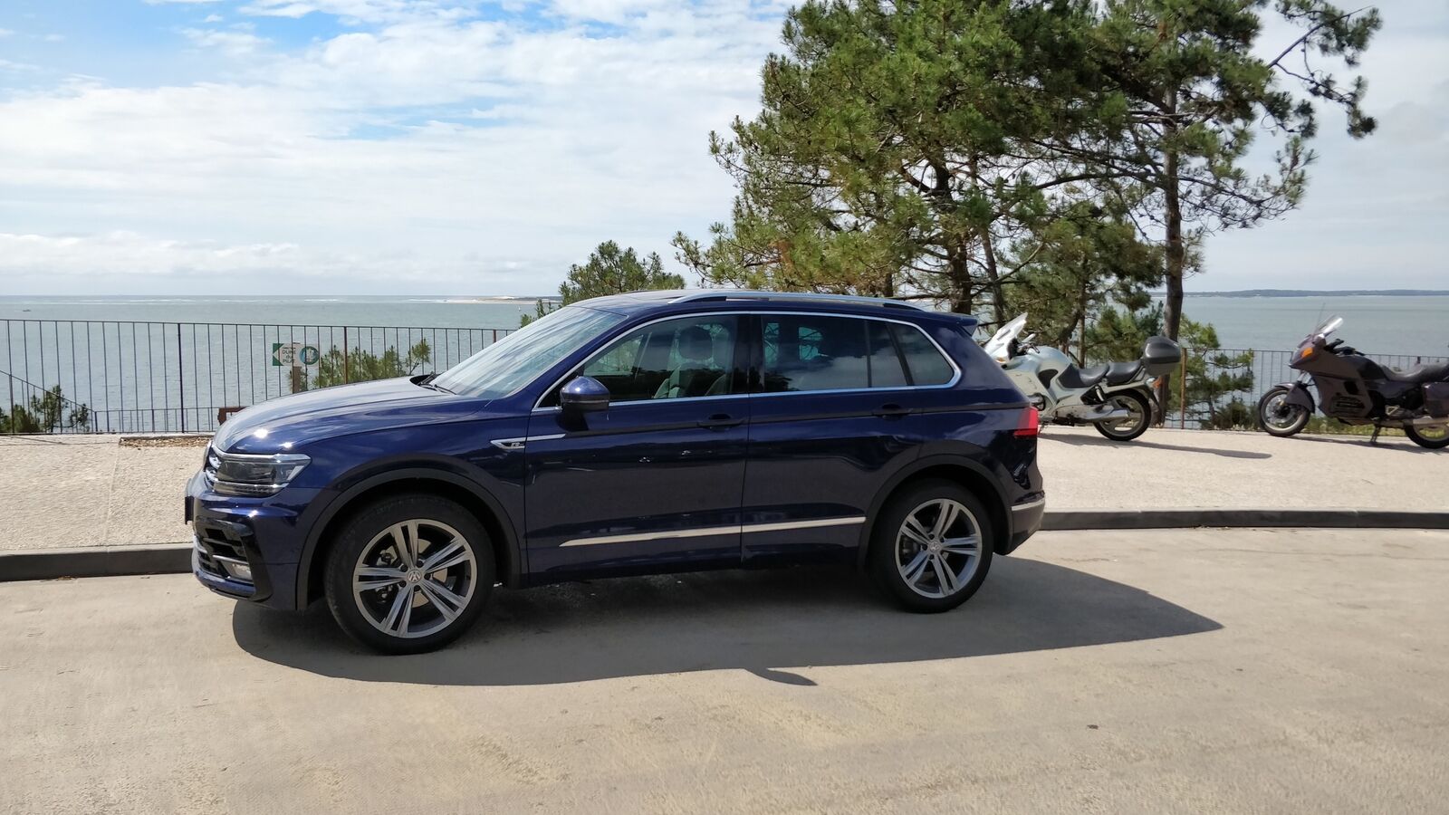 Bilder eurer Tiger ins rechte Licht gesetzt