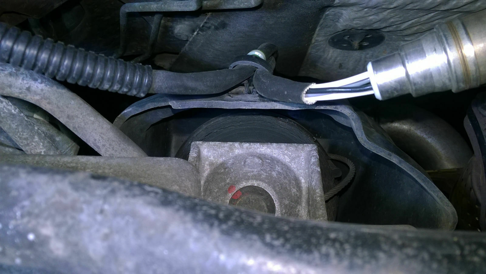 Was habt ihr eurem Elch heute Gutes getan