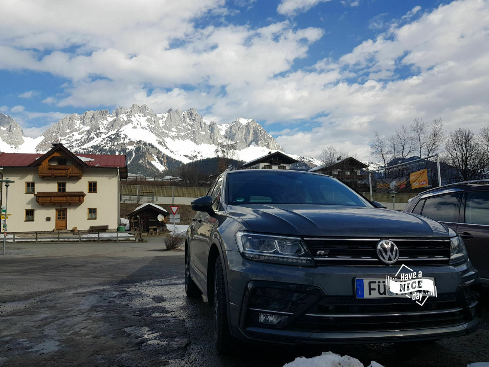 Bilder eurer Tiger ins rechte Licht gesetzt