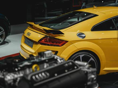 54256382-2397867153559017-8904614965898379264-o