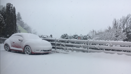 Bb3dc44e-33f5-4aaf-8041-50e96e09a929