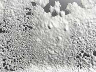 Schaumbild nach 1 Minute