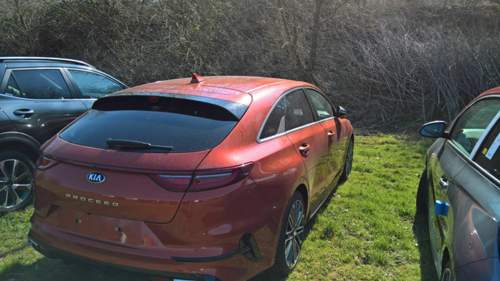 Wp-20190330-10-50-32-pro