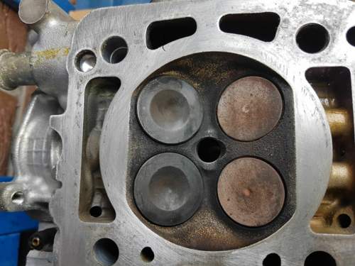 15547275025186069197282915189702