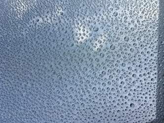 Dodo Juice Orange Crush