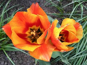 Der Sommer kann kommen!