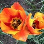 Der Sommer kann kommen!