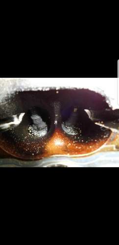 Screenshot-20190314-131726-gallery