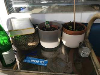 A8120ff2-230c-4258-8447-02f003a4ac7e