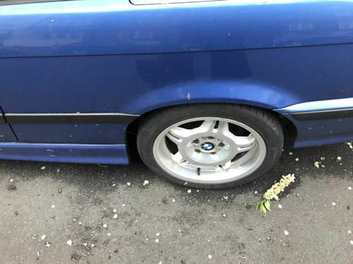 C52f6139-4223-4225-a991-e7903357943e