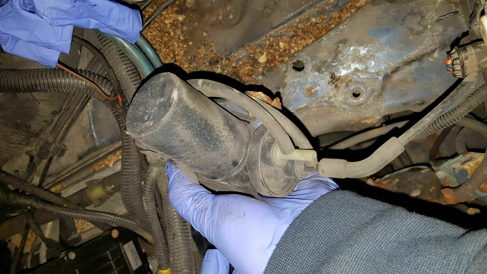 Tempomat ohne Funktion