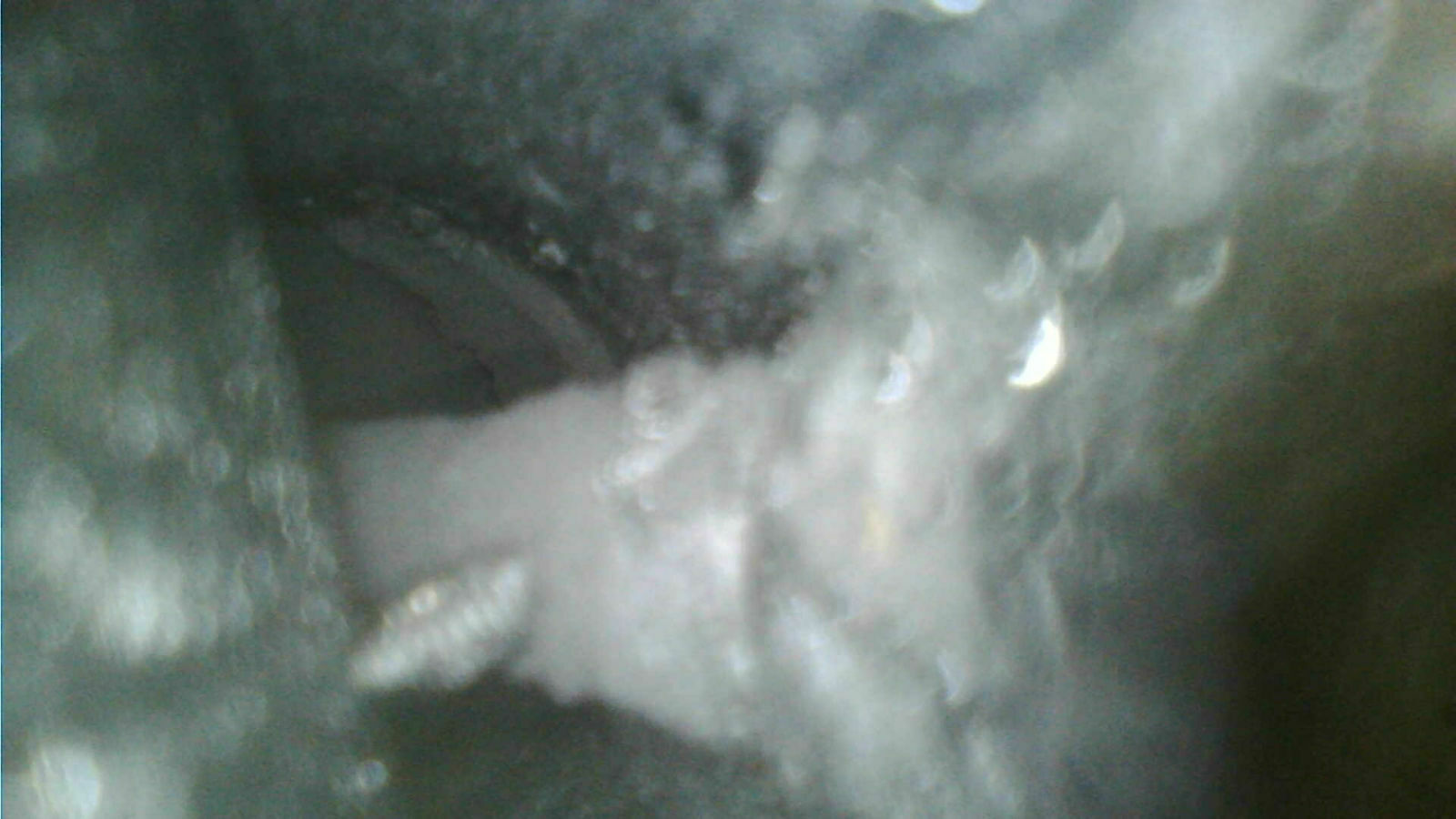 2,0 TFSI - Einspritzdüse undicht