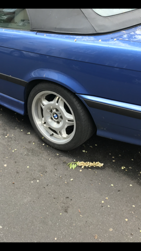 0b301ff3-2a17-4f06-b946-9c887a69b6d2