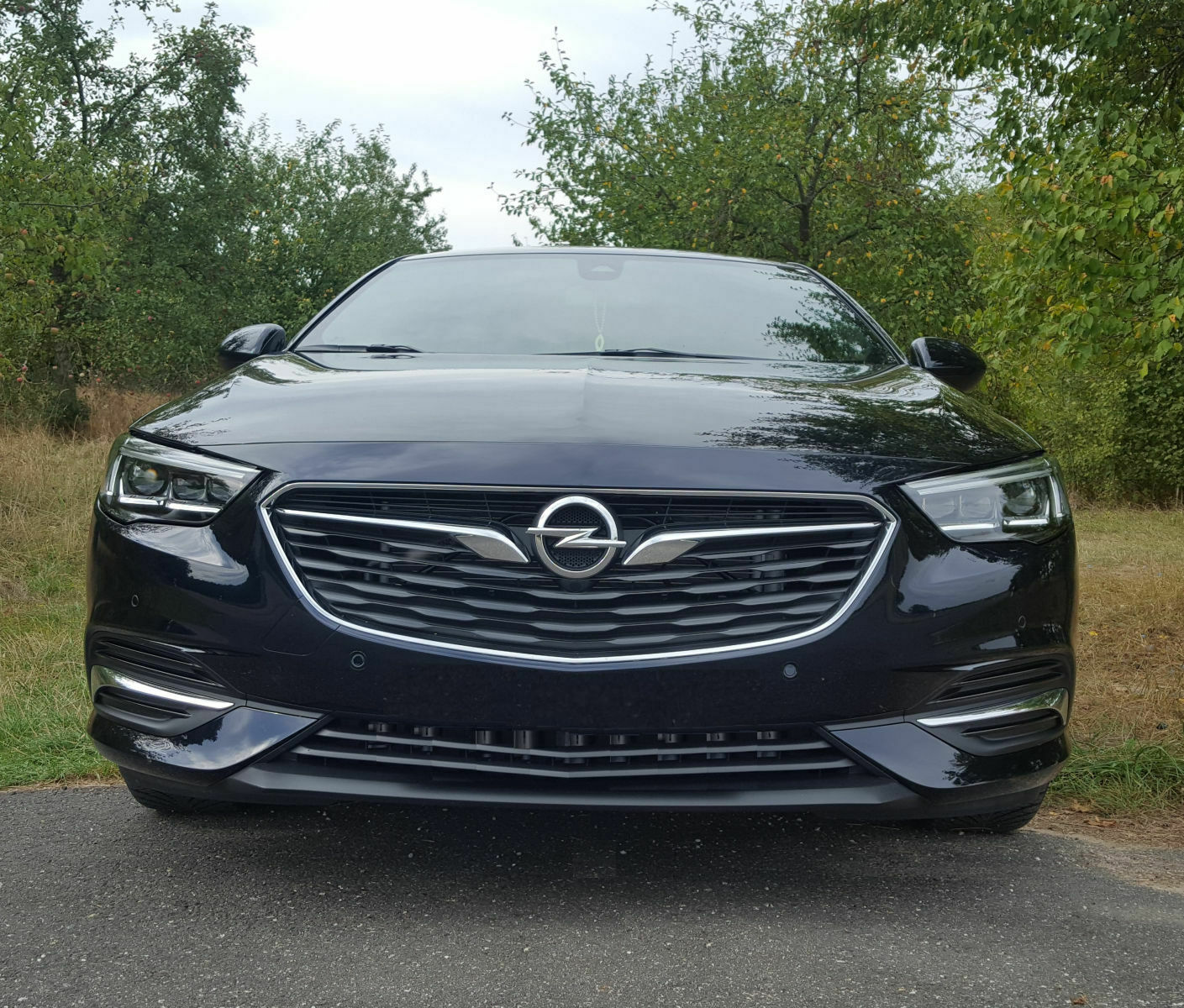 Zeigt her euren Insignia B