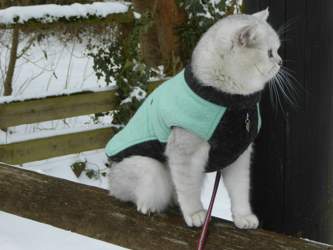 Nico-2018-03-18-13-21-24-gut-neuhof