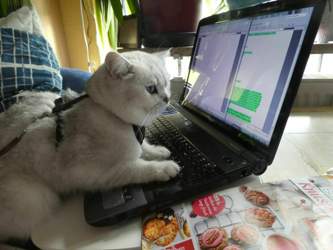 Nico-2018-12-04-14-35-54