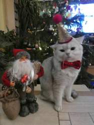 Nico-2018-12-26-13-14-50-mit-weihnachtsmann