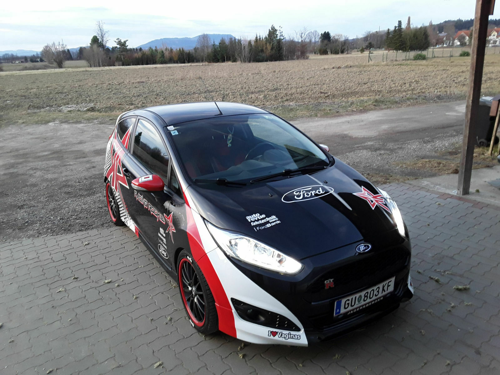 Ecoboost: Laufleistung und Probleme?