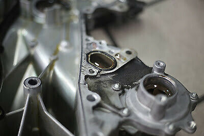 Ecoboost: Laufleistung und Probleme?