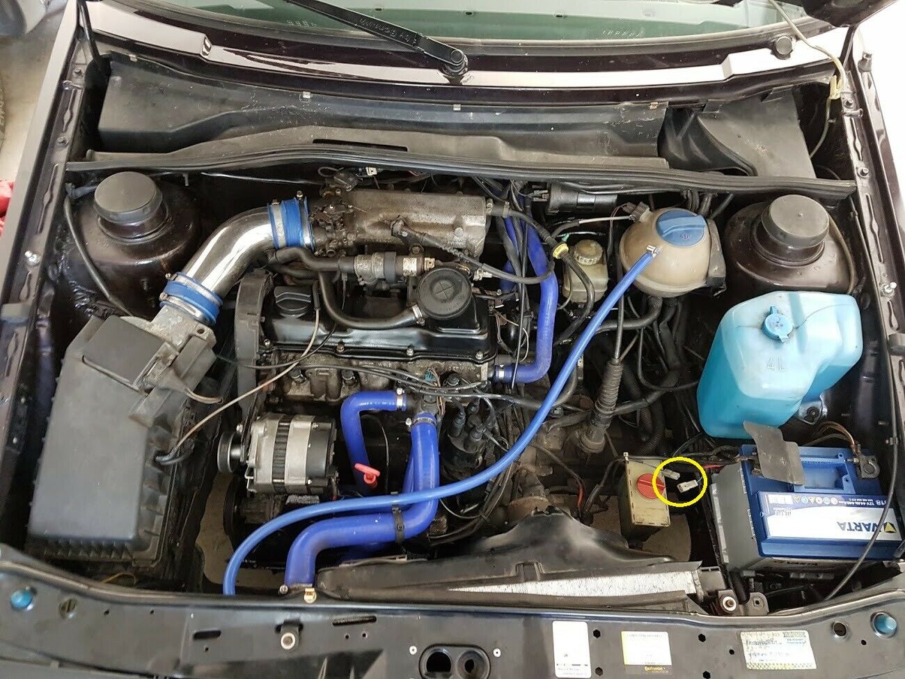 KFkA-Kurze Frage kurze Antwort