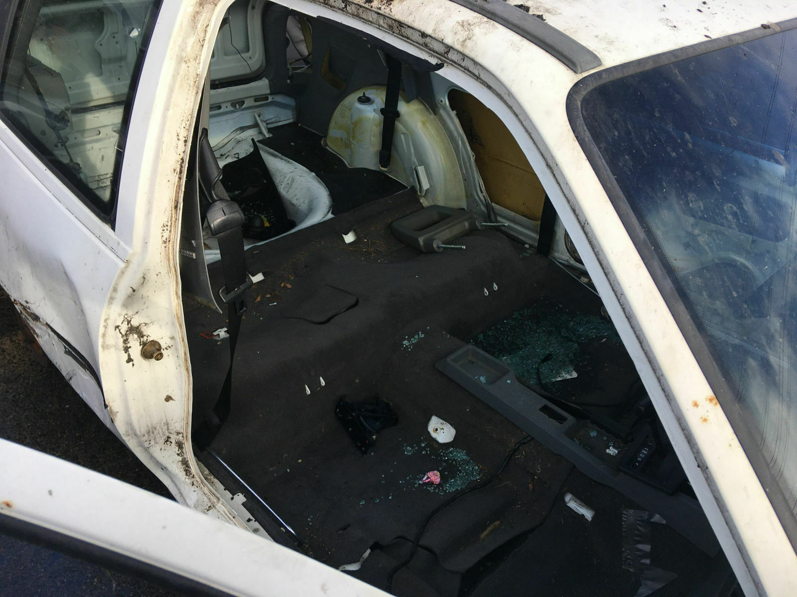 e5918b94-979c-4f3d-b228-cc1bf892f88f