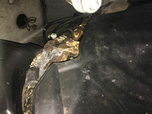 Mit-radhausabdeckung