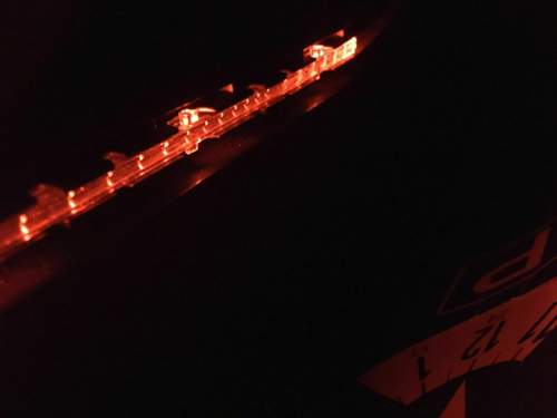 Tuertasche Ford Ambiente innen.jpg