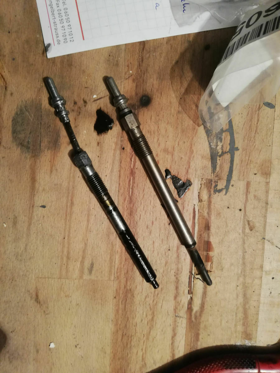 Was habt ihr heute am Elch getan?