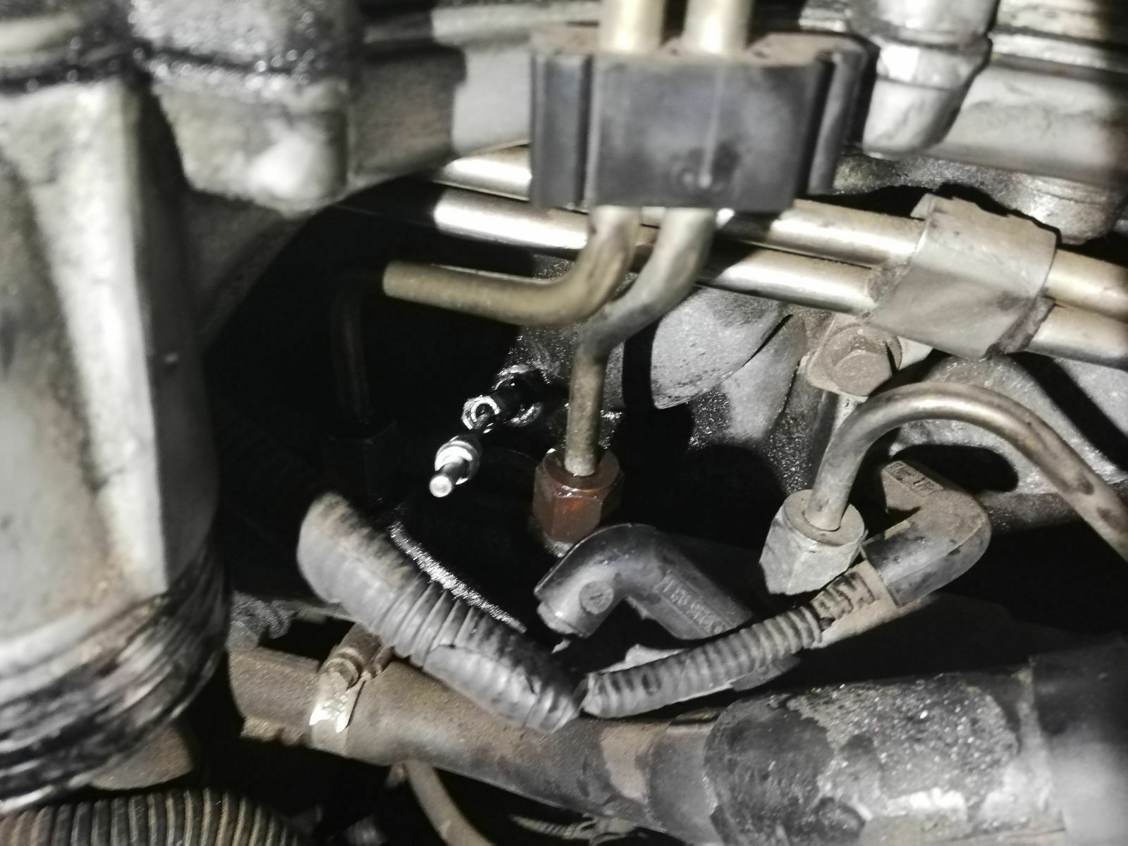 Was habt ihr heute am Elch getan?