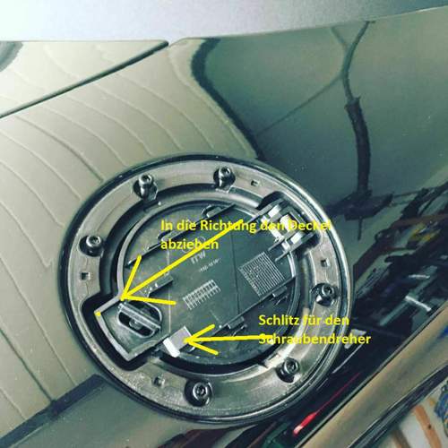 67720276-2477399399007100-1806578577454399488-n