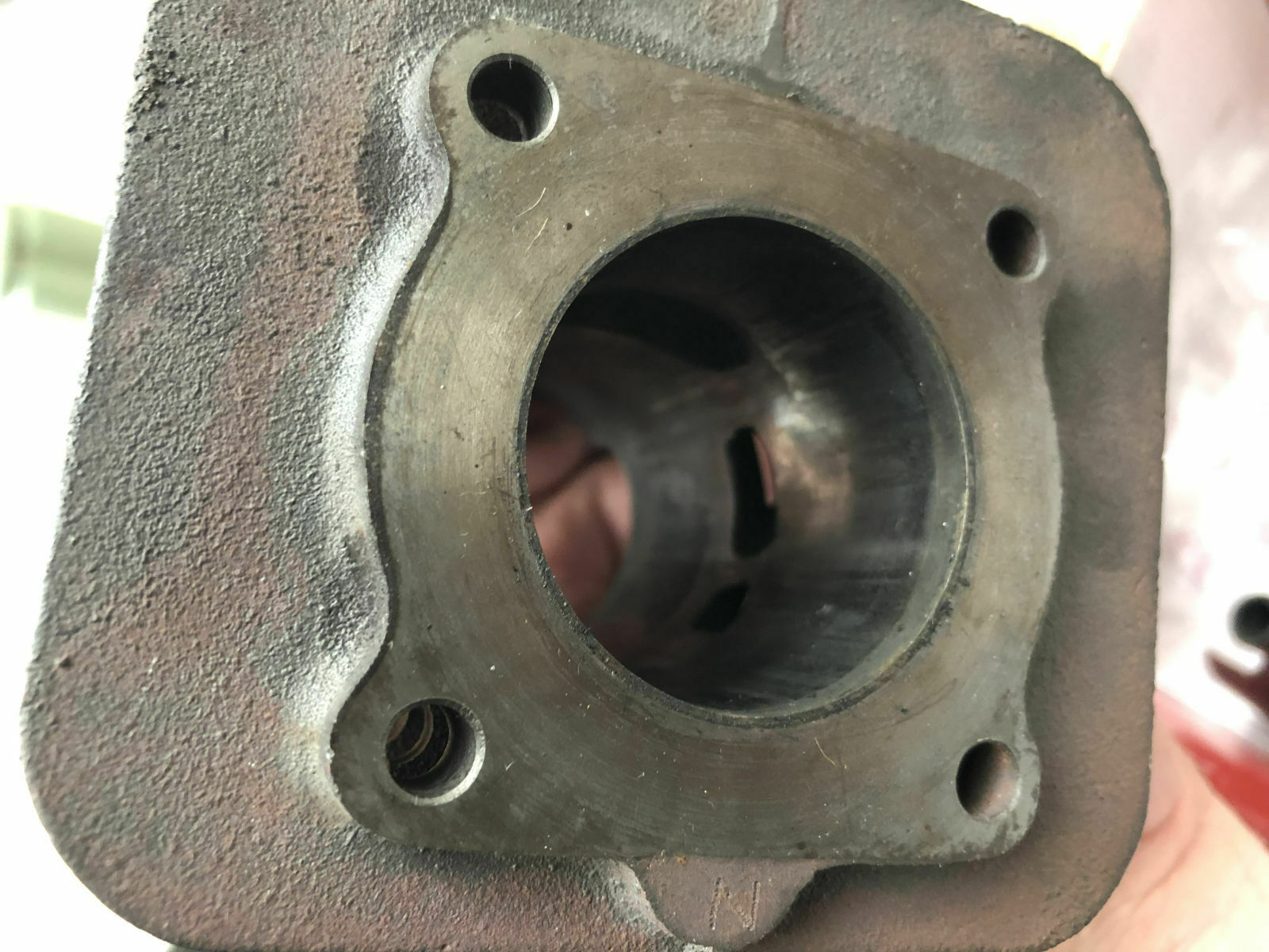 Mit dem 50ccm Roller an die kroatische Adria