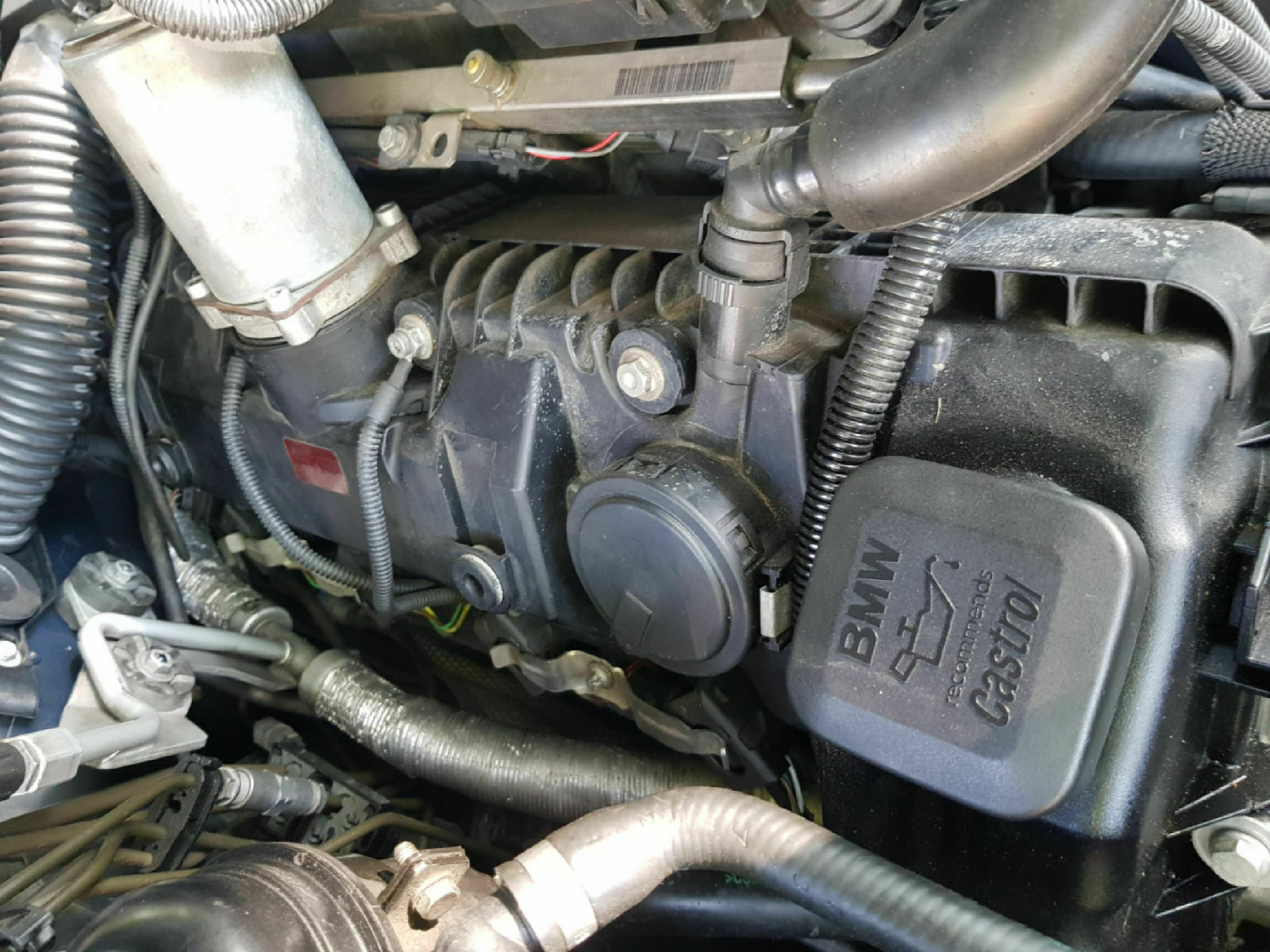 Motor absterben nach öffnen des öldeckels.