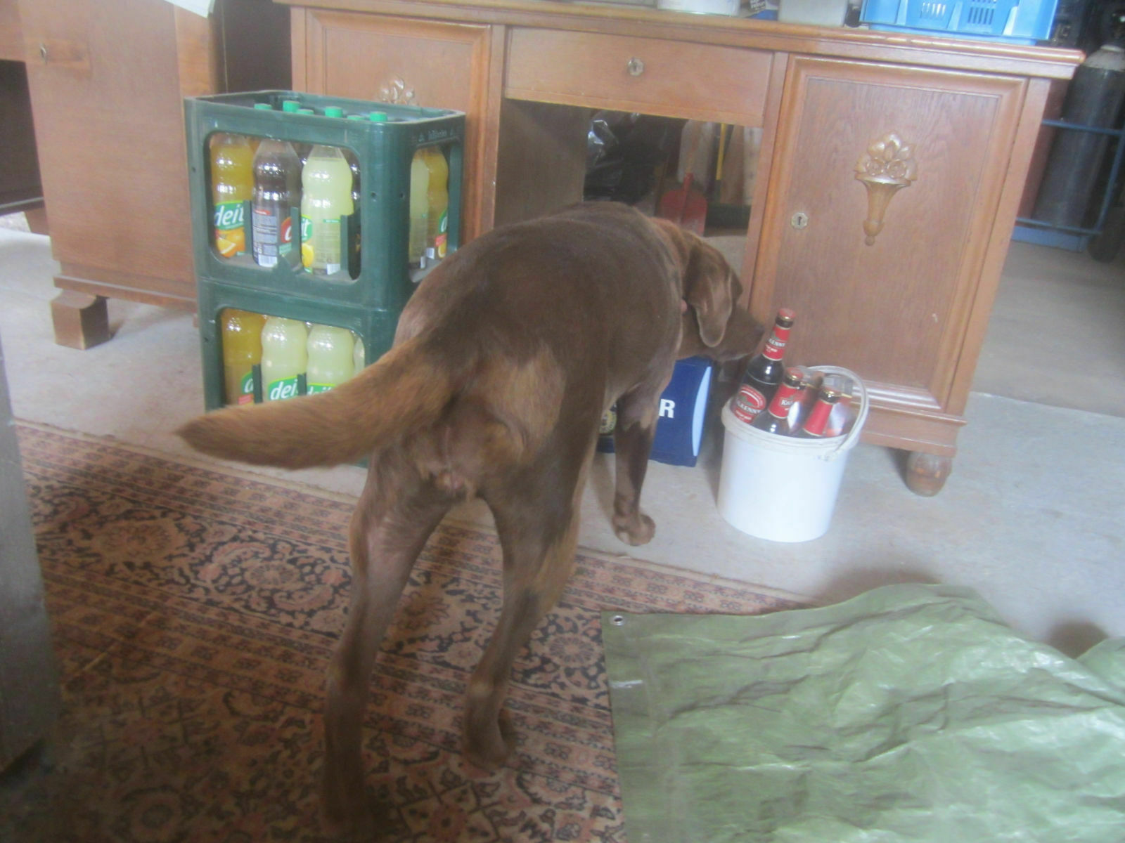 Der Schrottplatz - Spiegelsymmetrisch des Showrooms