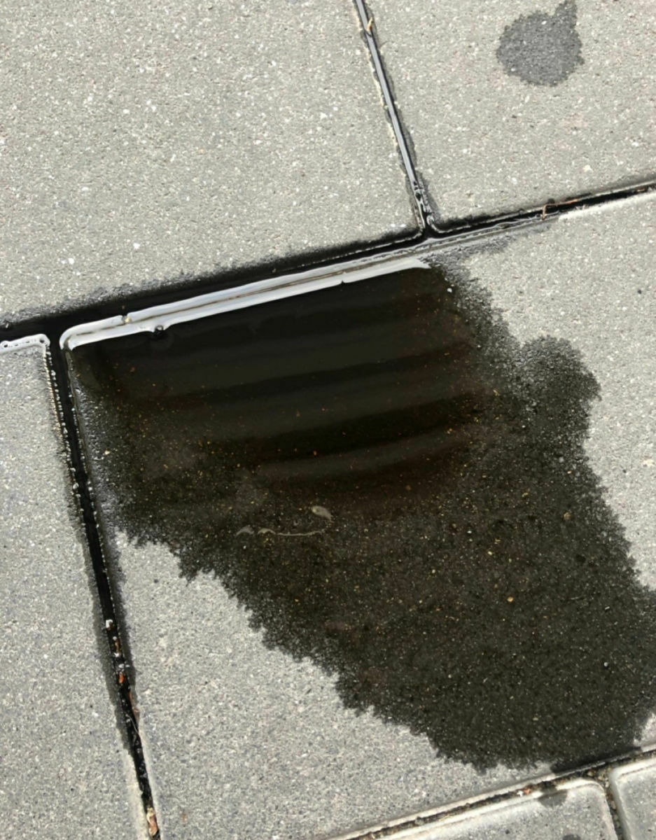 RS5 - ich fühle mich einsam!