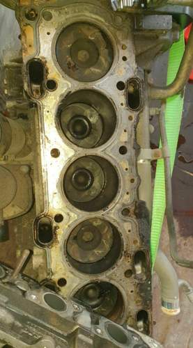 66639703-448422039273300-3911885895715782656-n